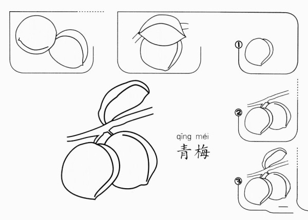 How to draw green plum