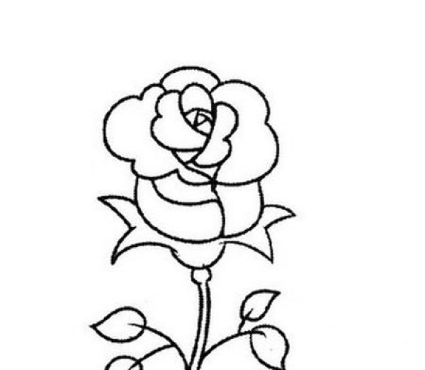 Complete collection of hand-painted simple drawings of roses Complete collection of childrens simple drawings of roses