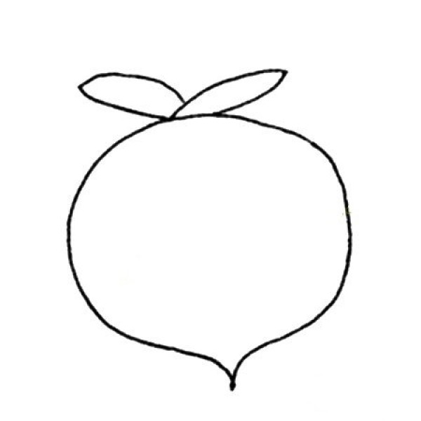 Simple radish drawing picture