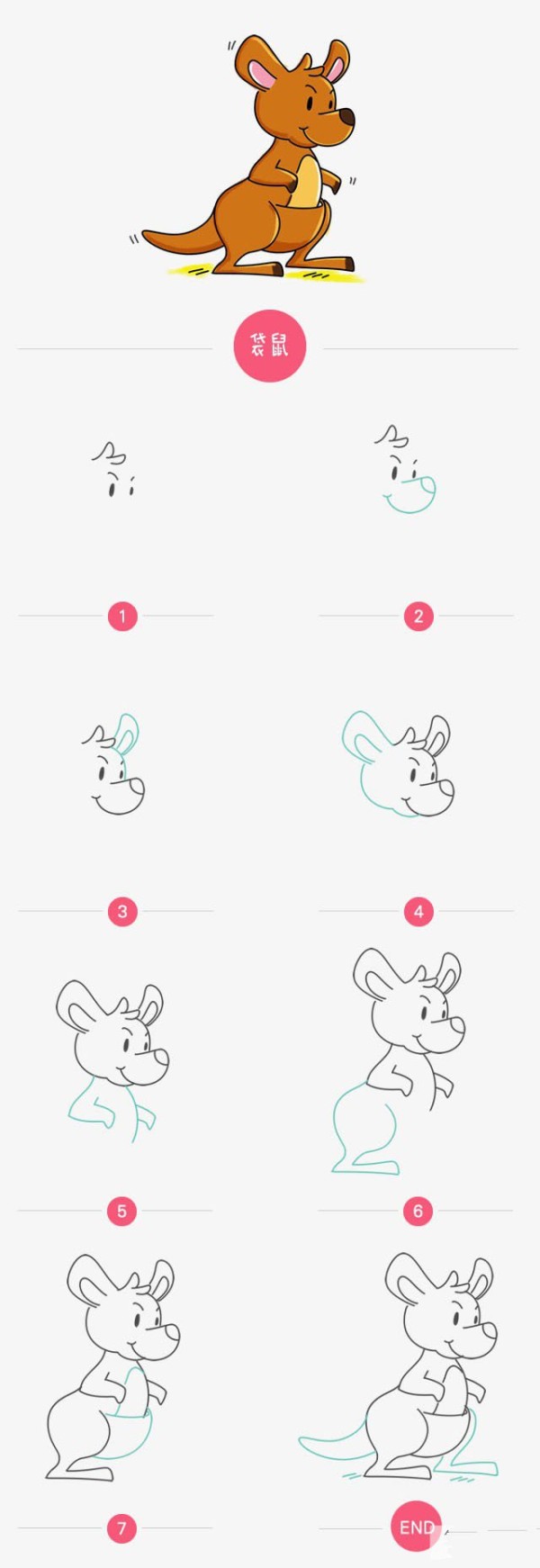 Simple drawing tutorial, step by step drawing of kangaroo