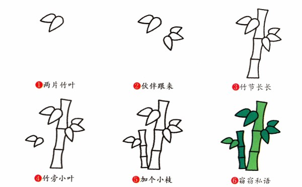 Green bamboo simple drawing tutorial