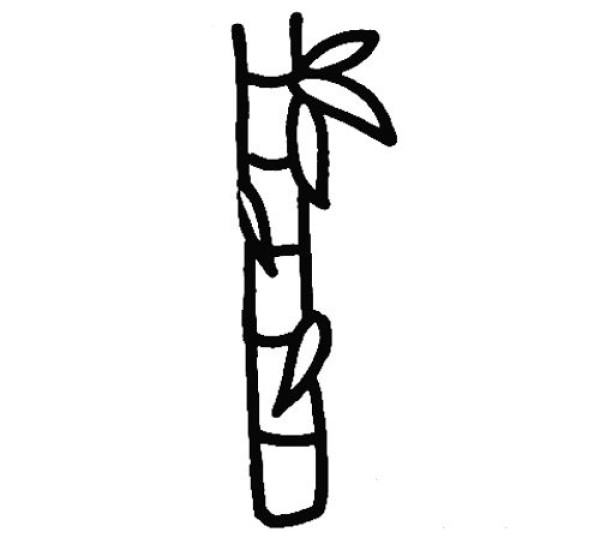 How to draw bamboo tree in simple strokes