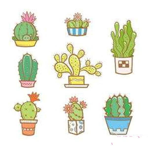 Beautiful colorful cactus simple drawing pictures