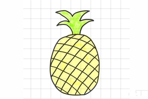 A set of fruit simple drawing pictures