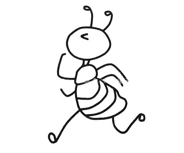 A set of simple drawing pictures of cartoon ants