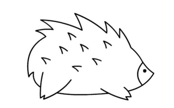 Childrens simple drawing pictures of hedgehogs