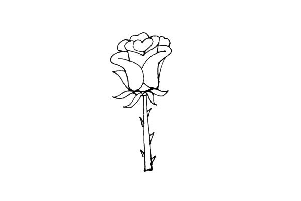 Rose flower simple strokes