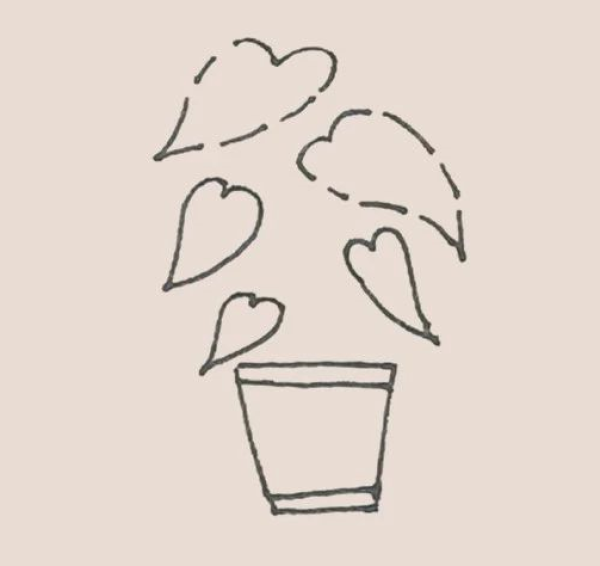 Simple drawing of Monstera deliciosa