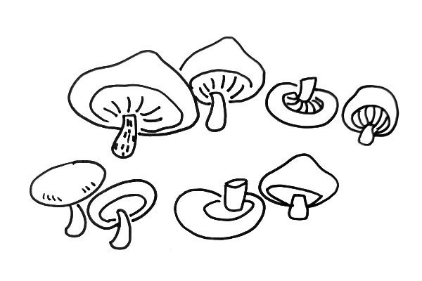 Black and white line drawing vegetables