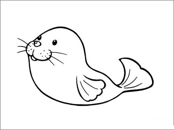 Simple strokes of sea lion pictures