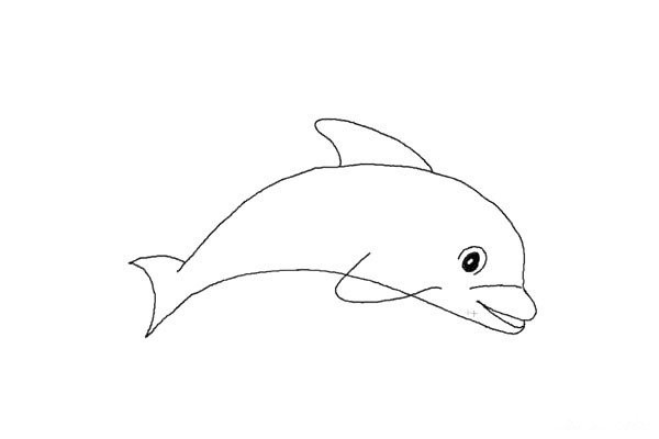 How to draw a dolphin in simple strokes