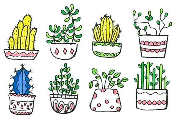 Hand drawn simple drawing of small potted plants