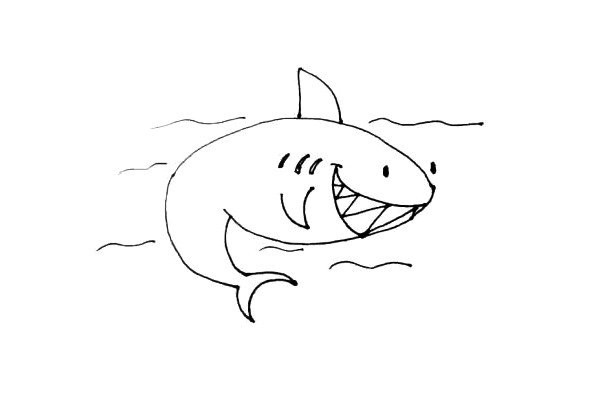 Learn to draw a shark