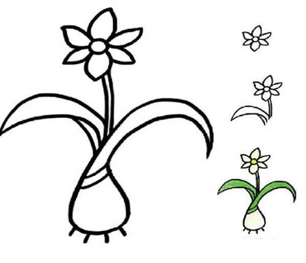 Simple drawing tutorial of hand-painted daffodils