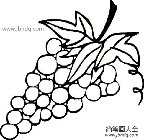 Simple drawing of sweet and sour grapes