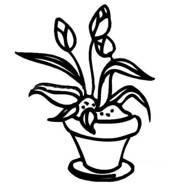 Simple drawing of flowers in flowerpot