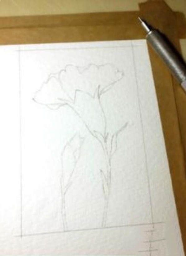 How to draw carnations. Sharing step-by-step pictures of carnation watercolor painting.