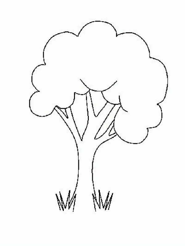 About simple tree drawing pictures