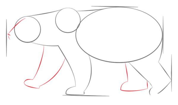 How to Draw a Polar Bear