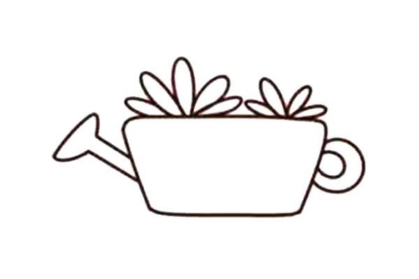 Beautiful succulents simple drawing 12