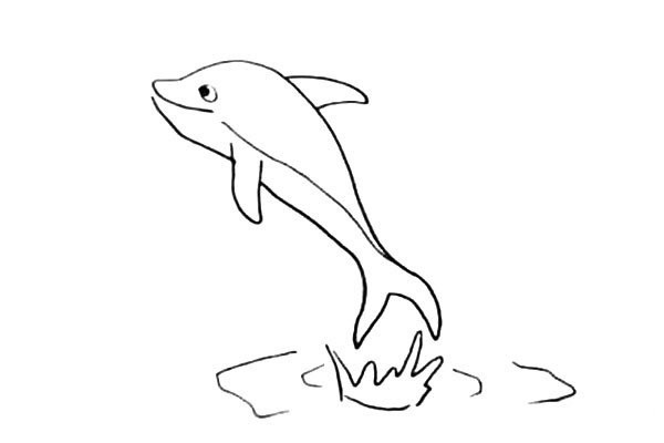 How to draw a dolphin