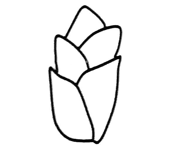 6 simple drawing pictures of bamboo shoots