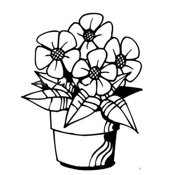 Advanced simple drawing of potted flowers