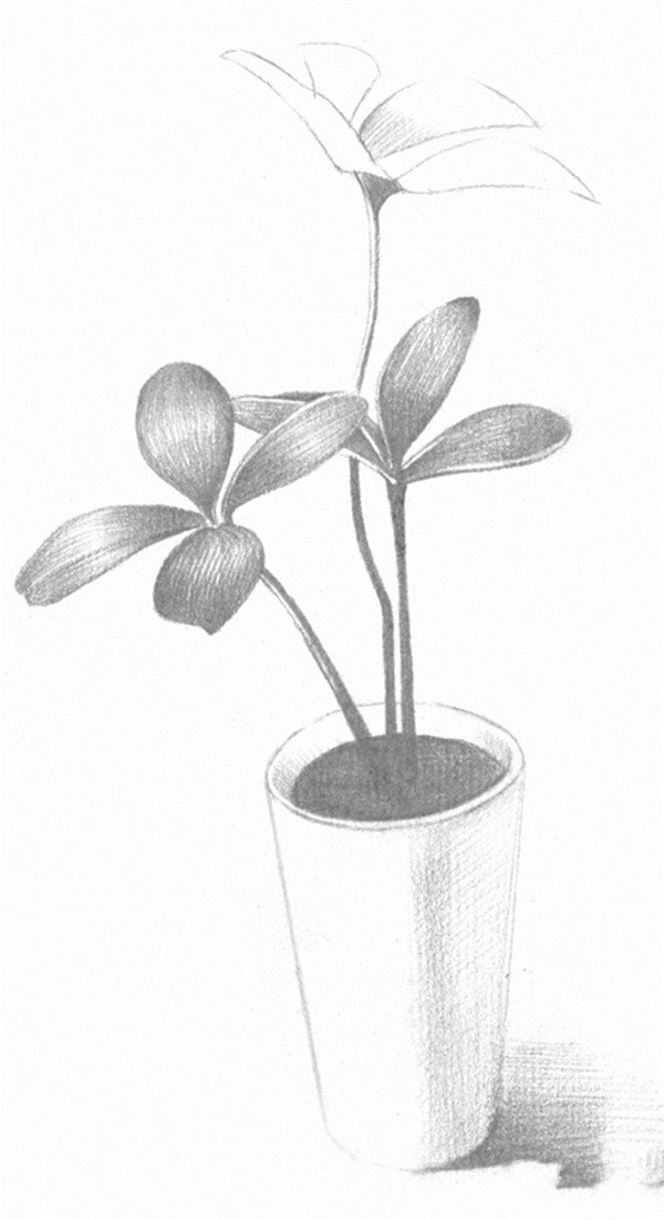 Sketch drawing techniques of four-leaf clover