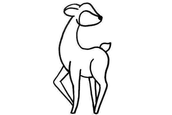 Learn to draw sika deer together