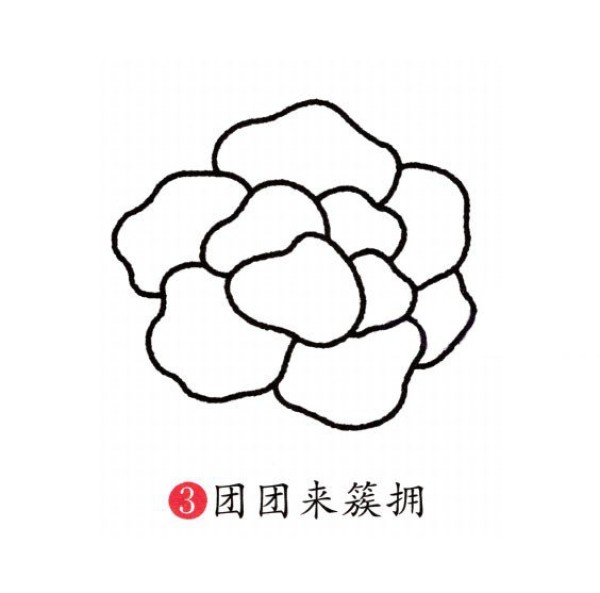 Childrens simple drawing of peony flowers