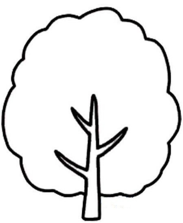 A collection of simple drawings of various big trees