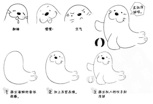 Step by step drawing of sea lion