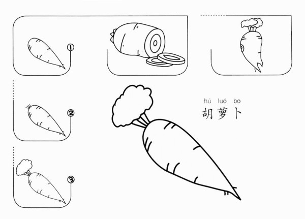 How to draw a carrot step by step