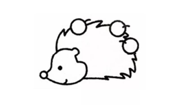 Draw a cute little hedgehog