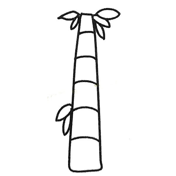 A collection of childrens simple drawings, a set of beautiful bamboo simple drawing pictures