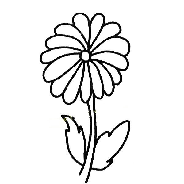 A set of simple drawing pictures of chrysanthemums