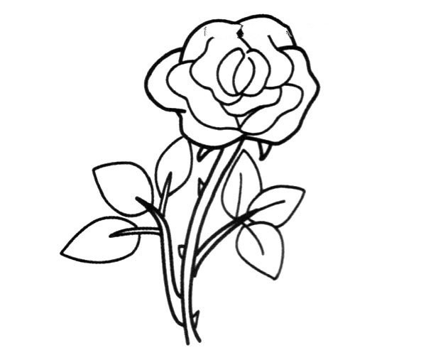 Simple picture of rose with thorns