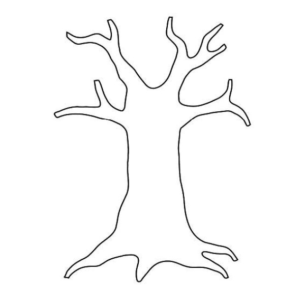 Simple drawing of branches and trunk