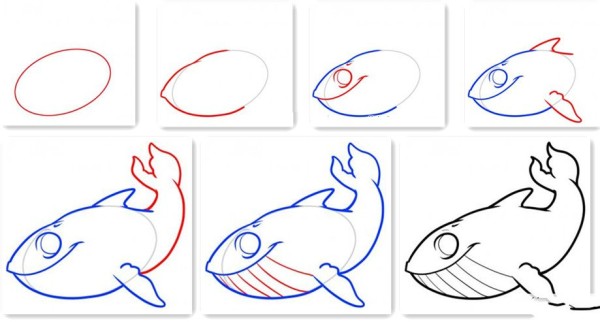 How to draw a whale