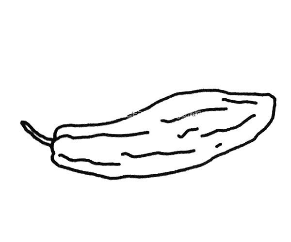 6 simple drawing pictures of bitter melon