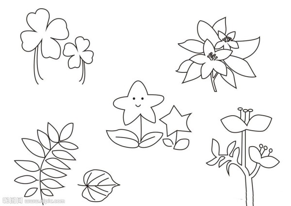 Simple drawing pictures of spring plants