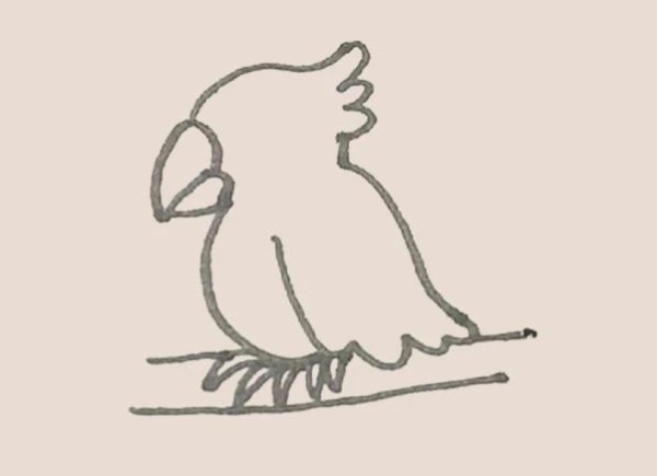 How to Draw a Parrot Simple Drawing