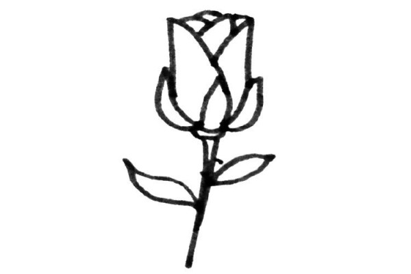 Various ways to draw roses