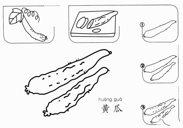 How to draw a cucumber