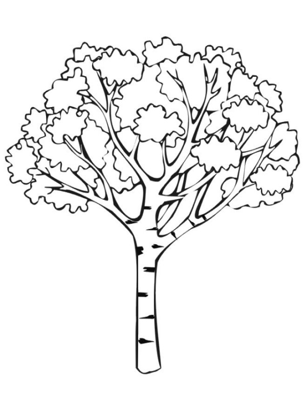 Simple drawing of big tree