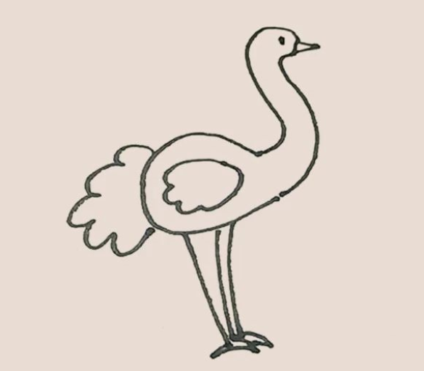 How to draw an ostrich in simple strokes