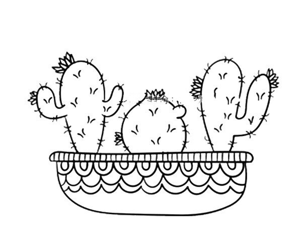 A set of beautiful simple drawing pictures of cactus