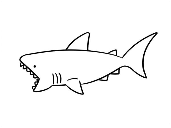 A complete collection of simple strokes of sharks