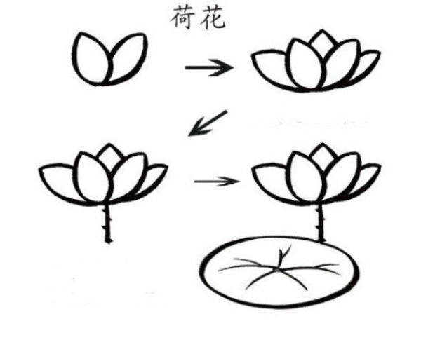 How to draw beautiful lotus flowers in simple strokes