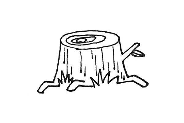 How to draw a tree stump